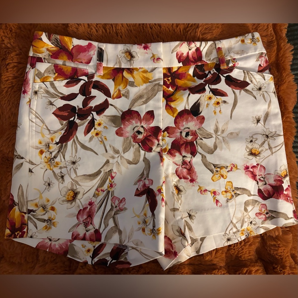 White House Black Market Shorts